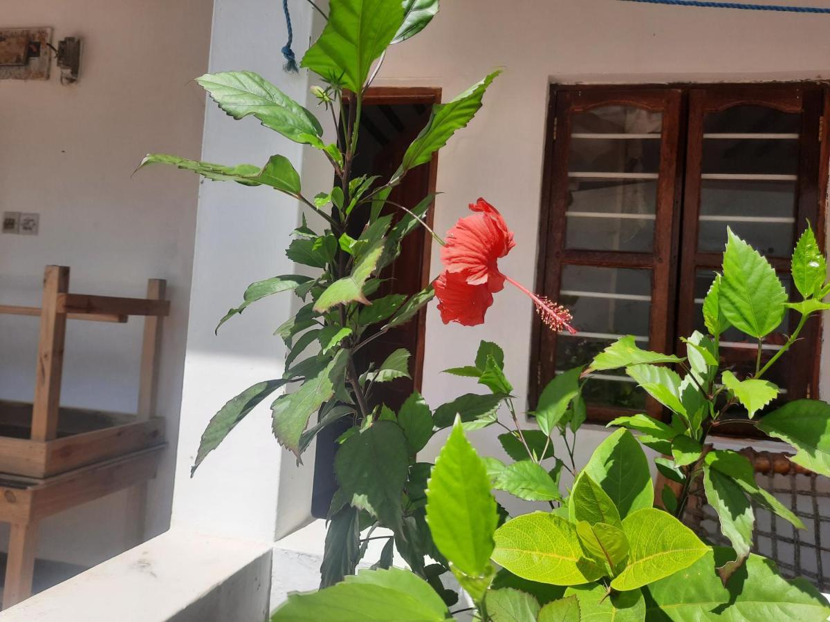 Ames Nungwi Bed & Breakfast Dış mekan fotoğraf