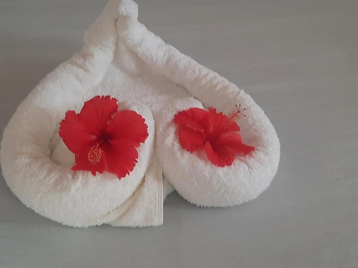 Ames Nungwi Bed & Breakfast Dış mekan fotoğraf